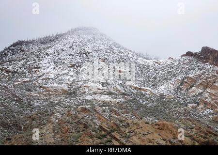 Una tempesta di neve ha colpito il deserto di Phoenix che copre il Superstition Mountains, in particolare Lost Dutchman State Park, nella neve. Foto Stock