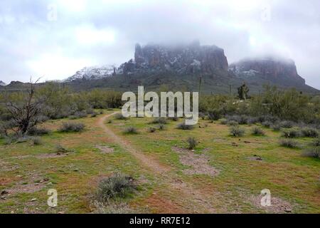 Una tempesta di neve ha colpito il deserto di Phoenix che copre il Superstition Mountains, in particolare Lost Dutchman State Park, nella neve. Foto Stock