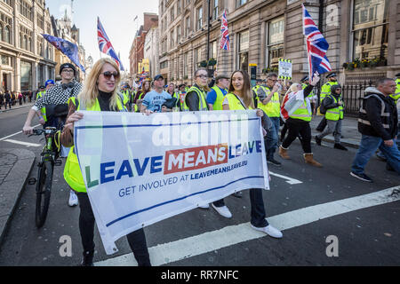 Pro-Brexit manifestanti chiedendo loro il 'giallo gilet UK " blocco del movimento strade e traffico mentre protestare marciando attraverso Westminster, Londra. Foto Stock