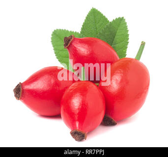Rosa Mosqueta berry con foglie isolati su sfondo bianco Foto Stock
