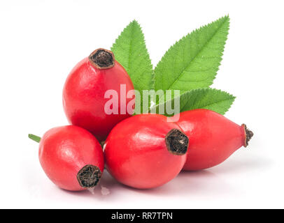 Rosa Mosqueta berry con foglie isolati su sfondo bianco Foto Stock