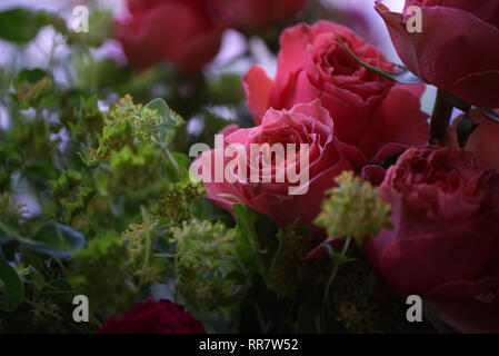Le rose rosa sul display in un negozio di fiori. Utilizzando il fuoco selettivo. Foto Stock