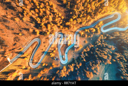 Vista aerea di strada tortuosa in autunno foresta al tramonto in montagna. Vista superiore della bella strada asfaltata e alberi di arancio. Autostrada attraverso la woodl Foto Stock