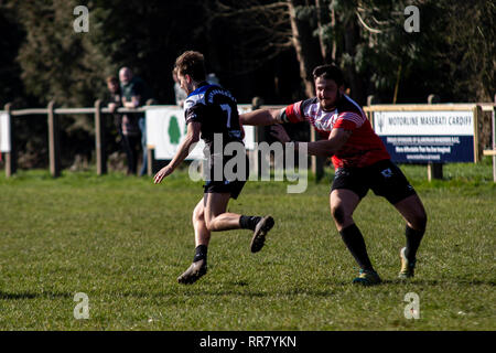 Cardiff draghi blu ospitare uno sviluppo del Galles occidentale Raiders XIII in una partita amichevole a Glamorgan Wanderers. Credito: Lewis Mitchell. Foto Stock