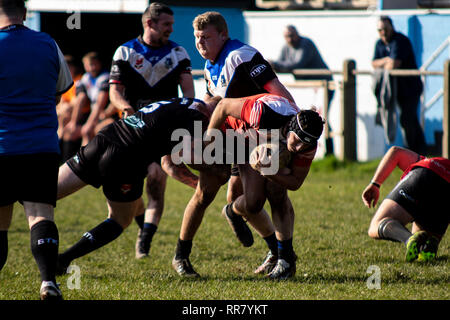 Cardiff draghi blu ospitare uno sviluppo del Galles occidentale Raiders XIII in una partita amichevole a Glamorgan Wanderers. Credito: Lewis Mitchell. Foto Stock