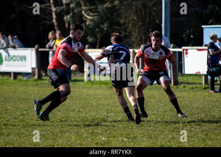 Cardiff draghi blu ospitare uno sviluppo del Galles occidentale Raiders XIII in una partita amichevole a Glamorgan Wanderers. Credito: Lewis Mitchell. Foto Stock