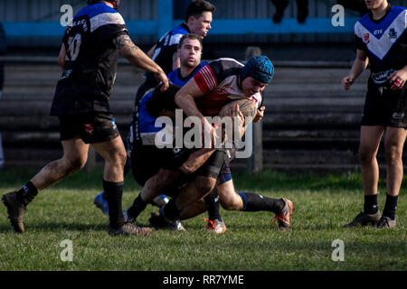 Cardiff draghi blu ospitare uno sviluppo del Galles occidentale Raiders XIII in una partita amichevole a Glamorgan Wanderers. Credito: Lewis Mitchell. Foto Stock