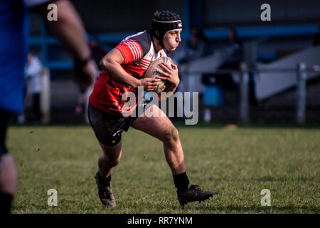 Cardiff draghi blu ospitare uno sviluppo del Galles occidentale Raiders XIII in una partita amichevole a Glamorgan Wanderers. Credito: Lewis Mitchell. Foto Stock