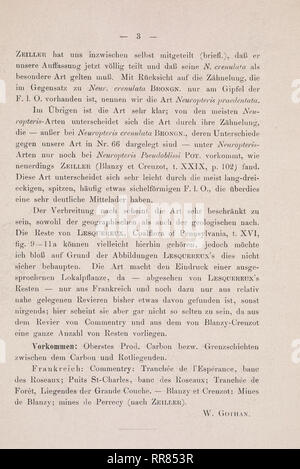 . Abbildungen und Beschreibungen fossiler Pflanzen-Reste der palaeozoischen und mesozoischen Formationen. Paleobotanica; Paleobotanica. Si prega di notare che queste immagini vengono estratte dalla pagina sottoposta a scansione di immagini che possono essere state migliorate digitalmente per la leggibilità - Colorazione e aspetto di queste illustrazioni potrebbero non perfettamente assomigliano al lavoro originale. Potonié, H. (Henry), 1857-1913; Preussische Geologische Landesanstalt. Berlino : In vertrieb bei der K. Geologischen Landesanstalt Foto Stock