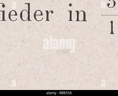 . Abbildungen und Beschreibungen fossiler Pflanzen-Reste der palaeozoischen und mesozoischen Formationen. Paleobotanica; Paleobotanica. . Si prega di notare che queste immagini vengono estratte dalla pagina sottoposta a scansione di immagini che possono essere state migliorate digitalmente per la leggibilità - Colorazione e aspetto di queste illustrazioni potrebbero non perfettamente assomigliano al lavoro originale. Potonié, H. (Henry), 1857-1913; Preussische Geologische Landesanstalt. Berlino : In vertrieb bei der K. Geologischen Landesanstalt Foto Stock