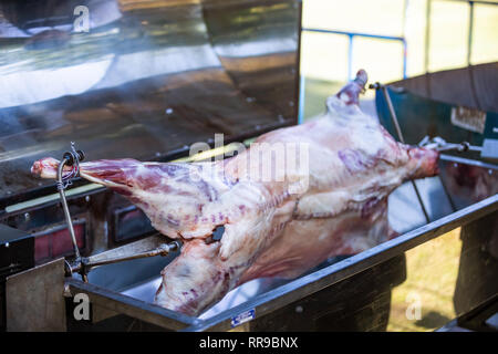 Agnello allo spiedo. Essendo di agnello cucinata su fiamme libere Foto Stock