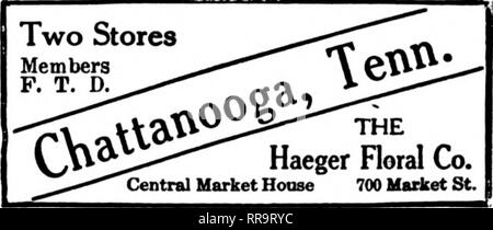 . Fioristi' review [microformati]. Floricoltura. Fioristi leader Geny Bros. Membri fioristi' Consegna del telegrafo 212 Fifth Avenue nord. Ho Nashville, Tenn. "Non abbiamo mai dormire" Edoardo Vianello IV f L* T Serre iVlempniS, 161111. 89 South Main Street "up-per-il-minute" Service e l'esecuzione Gli Stati fioristi' Telegraph consegna inviare aU MEMPHIS gli ordini al negozio di fiori 81 Unione Avenue Memphis, Tennessee Memphis, Tennessee JOHNSON SERRE 161 Madison Ave stabilito 1888 Stati fioristi' Consegna del telegrafo ass'n Knoxville, Tennessee CROUCH. Elemento Rorist fioristi' Telegraph Debvery LAKGK Foto Stock
