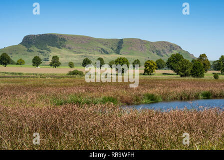 Un popolare bird watching lago e lo sfondo in Natal Midlands, Sud Africa. Foto Stock