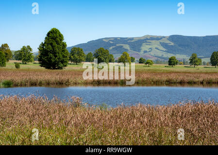 Un popolare bird watching lago e lo sfondo in Natal Midlands, Sud Africa. Foto Stock