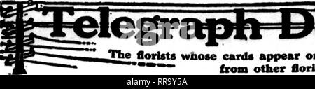 . Fioristi' review [microformati]. Floricoltura. JULT 27, 1922 i fioristi^ Rassegna 95. Si prega di notare che queste immagini vengono estratte dalla pagina sottoposta a scansione di immagini che possono essere state migliorate digitalmente per la leggibilità - Colorazione e aspetto di queste illustrazioni potrebbero non perfettamente assomigliano al lavoro originale. Chicago : fioristi' Pub. Co Foto Stock