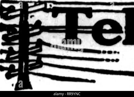 . Fioristi' review [microformati]. Floricoltura. 118 fioristi' Riesaminare Mabch 30. 1922. Il florUU whoae canU appaiono sul patfes portando questa testa, sono preparati a pinna ordini """ " da altri fioristi per il recapito locale sulla base usuale. '"'. Si prega di notare che queste immagini vengono estratte dalla pagina sottoposta a scansione di immagini che possono essere state migliorate digitalmente per la leggibilità - Colorazione e aspetto di queste illustrazioni potrebbero non perfettamente assomigliano al lavoro originale. Chicago : fioristi' Pub. Co Foto Stock