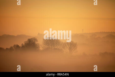 La nebbia sale sopra gli alberi vicino a Guildford nel Surrey. Forecasters hanno detto che dopo questo weekend di unseasonably tempo caldo, temperature più tardi questa settimana dovrebbe tornare normale. Foto Stock