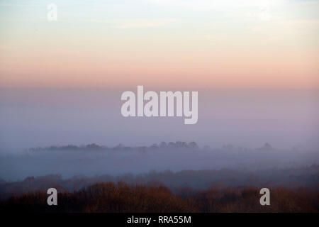 La nebbia sale sopra gli alberi vicino a Guildford nel Surrey. Forecasters hanno detto che dopo questo weekend di unseasonably tempo caldo, temperature più tardi questa settimana dovrebbe tornare normale. Foto Stock