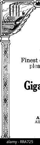 . Fioristi' review [microformati]. Floricoltura. 40 i fioristi^ Recensione JuNi 22. 1922. Si prega di notare che queste immagini vengono estratte dalla pagina sottoposta a scansione di immagini che possono essere state migliorate digitalmente per la leggibilità - Colorazione e aspetto di queste illustrazioni potrebbero non perfettamente assomigliano al lavoro originale. Chicago : fioristi' Pub. Co Foto Stock