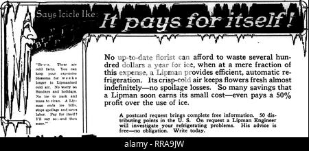 . Fioristi' review [microformati]. Floricoltura. 8 L' Rorists Review Junk 8. 1922. "Br-r-r. Sono questi colli scoregge. È possibile mantenere il vostro exiiensive blossoms per settimane più In Llpmanizcd colli dell'aria. Non preoccupatevi di domenica e nei giorni festivi. Assenza di ghiaccio a pacco e muss per pulire. Un JAv- raan estremità WUm ghiaccio. si arresta il deterioramento di fornitura ATUL savos manodopera. Pagare per sé? Dirò di BO-e quindi alcuni.". Si prega di notare che queste immagini vengono estratte dalla pagina sottoposta a scansione di immagini che possono essere state migliorate digitalmente per la leggibilità - Colorazione e aspetto di queste illustrazioni potrebbero non perfettamente assomigliano al lavoro originale. Chi Foto Stock