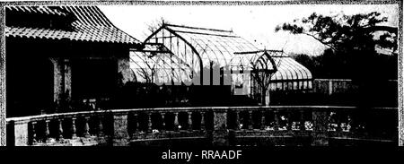 . Fioristi' review [microformati]. Floricoltura. 152 fioristi^ Revisione Luglio 27. 19T2 m^ss.^m'j^A!):iifi!^f&lt;f]'-^j.^sxiX^!'^."^. UcJiits2Ji^i£iiiii;mSi5J&amp;^ ^X!ysvii^y'-:iy!, g^^^affiifciaasaail/iujia^^^ sovrintendenti e giardinieri prendere nota se il vostro datore di lavoro capita di essere uno di quelli che vuole una serra ma non pensare che lui ha stanza per esso, qui è qualcosa che lo interessano. William Ellery di "Boston" ha due exten- sive Estates dove lo spazio è ampio per fare ciò che vuole fare. Ma quando ha acquistato la metà circa un acro a Brook- linea e ha voluto che hanno m Foto Stock