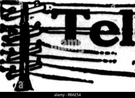 . Fioristi' review [microformati]. Floricoltura. 126 fioristi^ Review Apkii. 20. 1022. Si prega di notare che queste immagini vengono estratte dalla pagina sottoposta a scansione di immagini che possono essere state migliorate digitalmente per la leggibilità - Colorazione e aspetto di queste illustrazioni potrebbero non perfettamente assomigliano al lavoro originale. Chicago : fioristi' Pub. Co Foto Stock