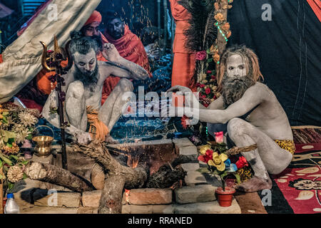 Di Allahabad, India. 24 feb 2019. Momenti del Kumbh Mela 2019, in Allahabad, India - Il Kumbh Mela, ampiamente considerato come il più grande raduno di pellegrini nel mondo, è un evento molto importante per l'Induismo. Credito: Davvero Facile Star/Alamy Live News Foto Stock