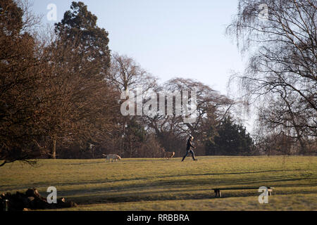 Sunrise su un inverni mattina in Elmdon Parco Naturale a Solihull, Birmingham, Regno Unito. Feb 15 2019. Foto Stock