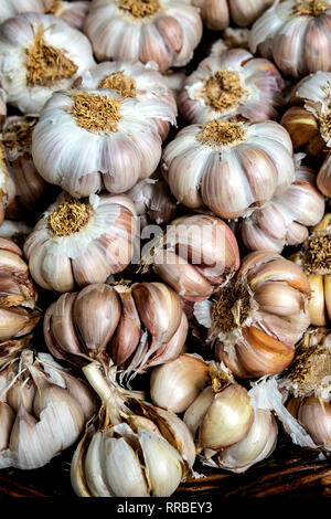 Bulbi di aglio impilati insieme in un cestello. Foto Stock