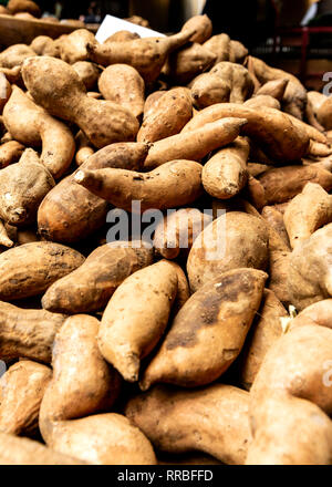 Patate dolci su uno stallo al mercato Lavradores, Madeira, Portogallo. Foto Stock