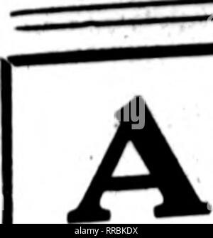 . Fioristi' review [microformati]. Floricoltura. MAHCH 2, 1922 i fioristi^ Review 143. Carload solido di Giacinto di verde picchetti. Si prega di notare che queste immagini vengono estratte dalla pagina sottoposta a scansione di immagini che possono essere state migliorate digitalmente per la leggibilità - Colorazione e aspetto di queste illustrazioni potrebbero non perfettamente assomigliano al lavoro originale. Chicago : fioristi' Pub. Co Foto Stock