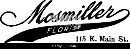 . Fioristi' review [microformati]. Floricoltura. 413 Grand Ave. MILWAUKEE, WIS. HARRY PERSTEIN "alcuni fioraio" 471 dodicesima strada ESCLUSIVA DI MILWAUKEE COMPOSIZIONI FLOREALI BAUMGARTEN, Inc. Gli Stati F. T. D. 93 WISCONSIN ST. RICHMOND, Virginia. 115 E. Main St. Stati Fiona's" Teletrraph Pelivcry AflRoeiatlon Roanoke, VA FALLON, Florida stati fioristi' Consegna del telegrafo ass'n Portsmouth, Va. il cotone il fiorista. 333 alta San Pietroburgo, VA. MRS. ROBT. B. esecuzioni. Florida 910 Telefono 1202 W. Waahington San LYNCHBURG, Va, J.J. FALLON CO. ^gL^.|^^7r Lynchburg, Virginia MISS McCARRON r'^SoWeVif/,; STAUNTON Foto Stock