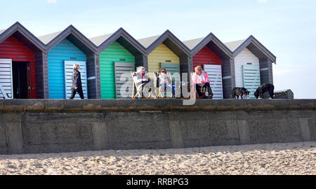 Onorevoli Godetevi il pranzo al sole in Blyth nel Northumberland. Forecasters hanno detto che dopo questo weekend di unseasonably tempo caldo, temperature più tardi questa settimana dovrebbe tornare normale. Foto Stock