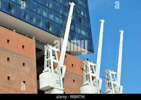 Tre gru di fronte alla Elbphilharmonie di Amburgo Foto Stock