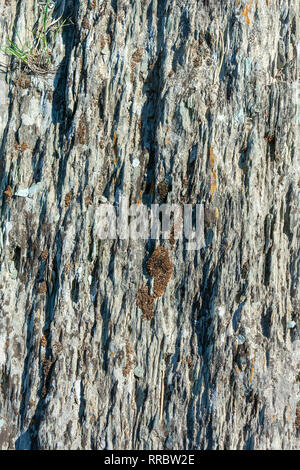 Texture Insolite Della Roccia Nikolsky Tutalsky Rocce Sulla Riva Del Fiume Siberiano Tom Foto Stock Alamy