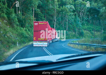Vista dall'interno di una vettura a seguito di un autocarro con red container merci viaggiano lungo una strada che attraversa un bosco di alberi di gomma nell'outback in Australia Foto Stock