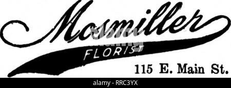 . Fioristi' review [microformati]. Floricoltura. 413 Grand Ave. MILWAUKEE, WIS. HARRY PERSTEIN "alcuni fioraio" 471 dodicesimo STREET Richmond, Virginia l'Hammond Company, Inc. Fioristi leader 109 EAST BROAD STREET RICHMOND. VIRGINIA. 115 E. Main St. Stati fioristi' Telegrafo Associazione consegna Roanoke, VA FALLON, Florida Stati fioristi' Tele"consegna rraph ass'n Portsmouth, Va. il cotone il fioraio, 333 Alta San Pietroburgo, VA. MRS. ROBT. B. esecuzioni. Florida 910 Telefono 1202 W. Washington St. Lynchburg, Virginia J. J. FALLON CO. ?'S'.Knyg'' Lynchburg, Virginia MISS McCARRON Telegraph IteUveW Staunton, VA. Foto Stock