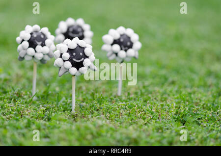 Pecore cake pops sull'erba: delizioso divertente torta di animale pop per la celebrazione e party Foto Stock