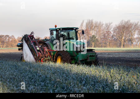 Trattore John Deere 6170r; raccolta di porri in condizioni di tempo secco, alimenti, porri, verdure, verde, riga, agricoltura biologica, sana, fresca, fattoria, giardino, pianta cruda, natura, cipolla naturale, sfondo, insalata di foglie, salute, gruppo, freschezza primaverile, produzione, Giardinaggio, ingrediente di raccolta, in Burscough, Regno Unito Foto Stock