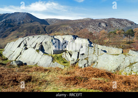 Rôche moutonnée è una formazione rocciosa creato mediante il processo di erosione del passaggio di un ghiacciaio. Questa particolare formazione è in Nant Ffrancon valley, Snowdonia. Foto Stock