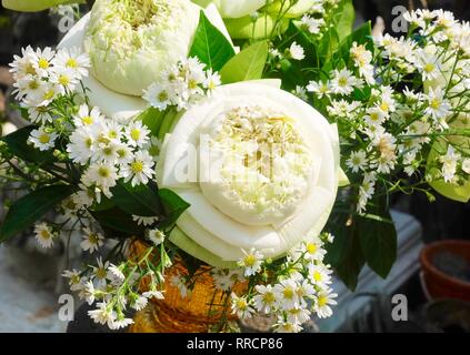 Splendidi fiori, mazzo di fiori di Loto Bianco o acqua giglio fiori con margherite preparando a pagare rispetto al Buddha. Foto Stock