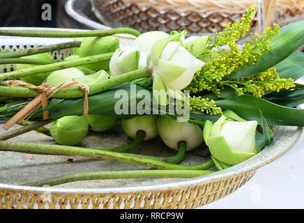 Bel Fiore, mazzi di fiori di Loto Bianco o acqua giglio fiori sul vassoio del piedistallo preparando a pagare rispetto al Buddha. Foto Stock