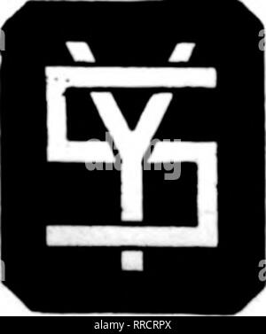 . Fioristi' review [microformati]. Floricoltura. Atto di citazione* per il catalogo BUCHBINDERBROS. 11 S. La Salle San, CHICAGO menzionare il riesame quando scrivi. HARRISON 1818-1M9-1850 frigoriferi e attrezzature di completa unione frigorifero Co. I FABBRICANTI 20 W. Jackeon Blvd. CHICAGO menzionare il riesame quando yon scrivere. Burlington Willow Ware negozi realizzatori di vale la pena Wiiile WiOO-Ware cesti per il particolare fioristi Burlington, IOWA menzionare il riesame quando scrivi. Snuth&amp;YooiigCo. Commercio all'ingrosso di fiori recisi e Snppfiet 228 East Okii* Dich iNMANAroiis. nm menzionare il riesame quando scrivi .. Si prega di notare che queste Foto Stock