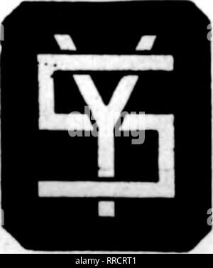 . Fioristi' review [microformati]. Floricoltura. Atto di citazione* per Catalocu BUCHBINDERBROS*. 11 S. La Vela* San, CHICAGO menzionare il ReTlew quando yon scrivere. HARRISON 1848-1849-1860 frigoriferi e attrezzature di completa unione frigorifero Co. HANUFACTUREBS 20 W. Jackson Blvd. CHICAGO menzionare il Reriew quando yon scrivere. Burlington Willow filo negozi realizzatori di vale la pena WinO-Wue Baeket* per la particolare fioristi Burlington, IOWA menzionare il Reriew quando yau scrivere.. Smith&amp;YoaiigCd. WH0LE8AUE Cat Flowen e Snppfiei 228 East Ohic Dich DOMANArOUS. INDi la menzione Reriew quando yon scrivere.. Si prega di notare che queste mi Foto Stock