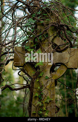 Vecchie pietre in Arnos Vale cimitero ricoperta di edera Foto Stock