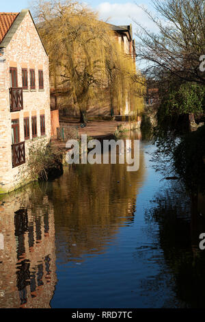 Case in York, Inghilterra. Che stare a fianco del fiume Foss. Foto Stock