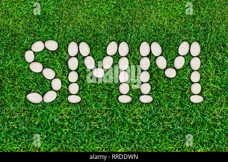 Il Social Media Marketing SMM. Lettere di cui fuori delle pietre di fiume sul prato verde. Le tecnologie di Internet Foto Stock