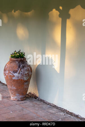 Vaso di fiori e di ombra a Burnby Hall Gardens Pocklington Foto Stock