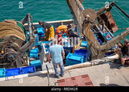 I pescatori sbarcare le loro catture di pesce fresco sulla banchina del porto di Denia, Spagna. Foto Stock