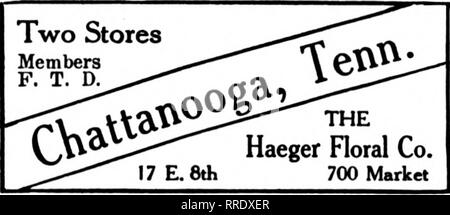 . Fioristi' review [microformati]. Floricoltura. Fioristi leader Geny Bros. Membri fioristi' Consegna del telegrafo 212 Fifth Avenue nord. NASHVILLE, TENN. "Non abbiamo mai dormire" GrSouses Meiiiphis, Tcnn. 89 South Main Street "up-per-il-minute" Service e l'esecuzione Gli Stati fioristi' Telegraph consegna inviare tutti gli ordini di Memphis al negozio di fiori 81 Unione Avenue MEMPHIS. TENNESSEE Memphis, Tennessee JOHNSON SERRE 161 Madison Ave. Stabilito 1888 Stati fioristi' Consegna del telegrafo ass'n HAGERSTOWN, MD. HENRY A. Bester al numero &AMP; figli membri fioristi' Consegna del telegrafo ass'n Maria Johns Foto Stock